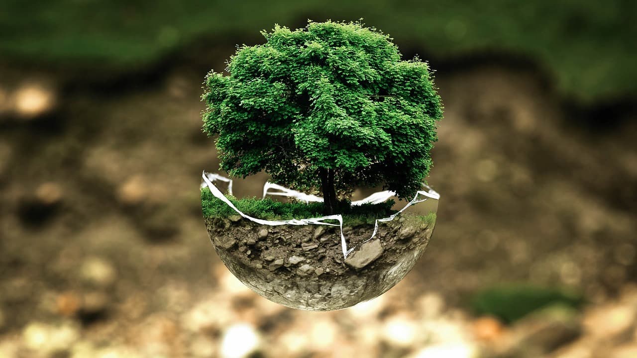 How to write an essay on an environmental topic?