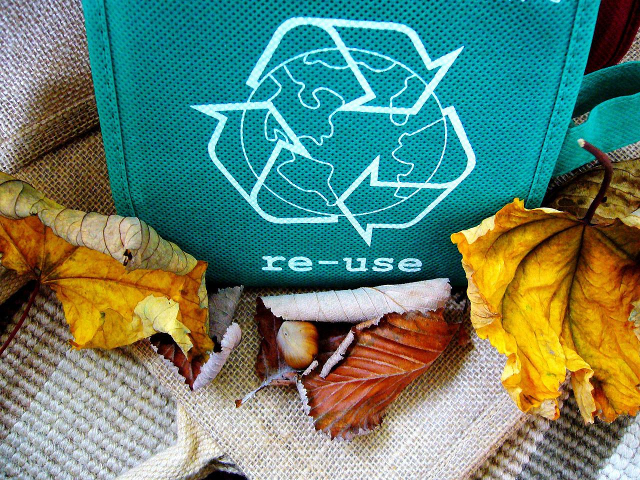 The German way of ecology: sorting waste, organic products, and fast wheelbarrows